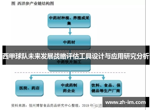 西甲球队未来发展战略评估工具设计与应用研究分析