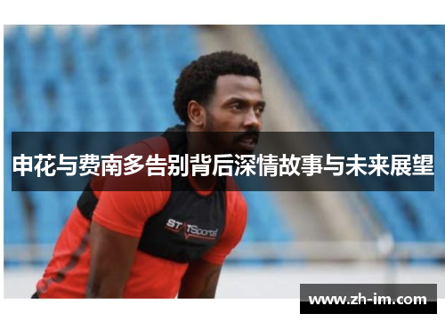 申花与费南多告别背后深情故事与未来展望