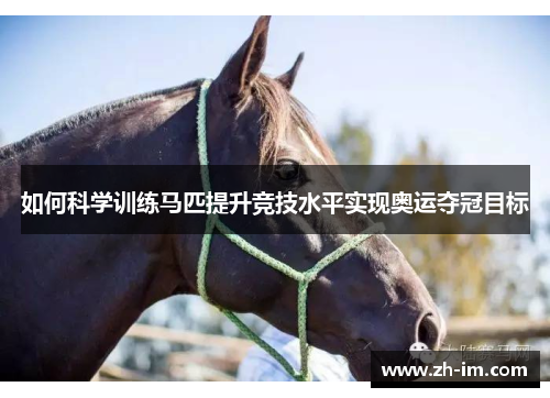 如何科学训练马匹提升竞技水平实现奥运夺冠目标 如何科学训练马匹提升竞技水平实现奥运夺冠目标