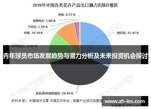 青年球员市场发展趋势与潜力分析及未来投资机会探讨 青年球员市场发展趋势与潜力分析及未来投资机会探讨