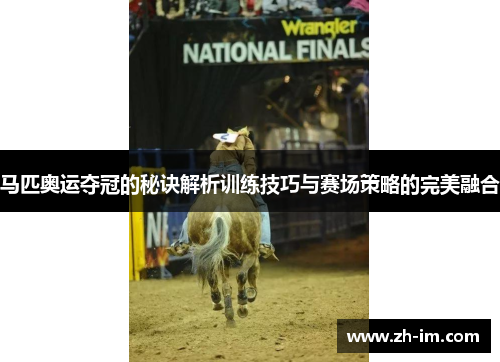 马匹奥运夺冠的秘诀解析训练技巧与赛场策略的完美融合 马匹奥运夺冠的秘诀解析训练技巧与赛场策略的完美融合