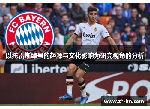 以托雷斯绰号的起源与文化影响为研究视角的分析 以托雷斯绰号的起源与文化影响为研究视角的分析