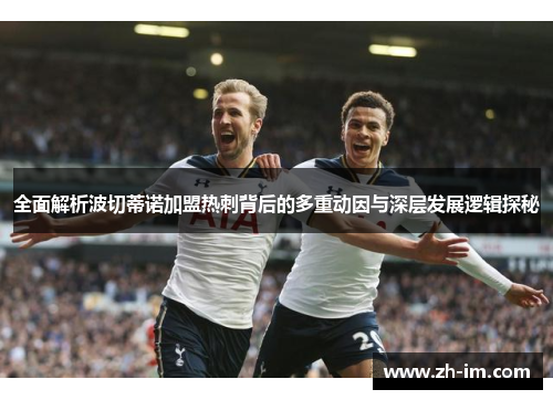 全面解析波切蒂诺加盟热刺背后的多重动因与深层发展逻辑探秘