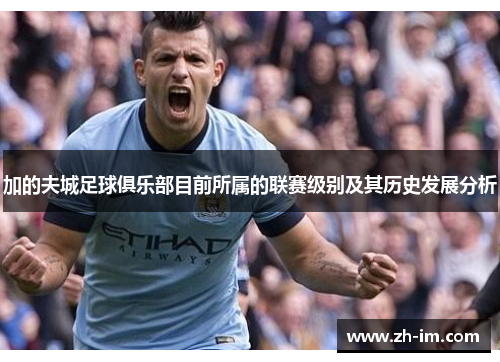 加的夫城足球俱乐部目前所属的联赛级别及其历史发展分析
