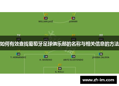 如何有效查找葡萄牙足球俱乐部的名称与相关信息的方法