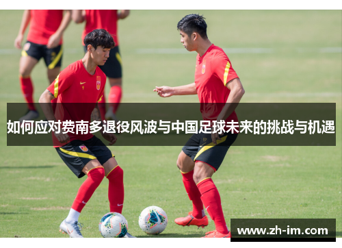 如何应对费南多退役风波与中国足球未来的挑战与机遇