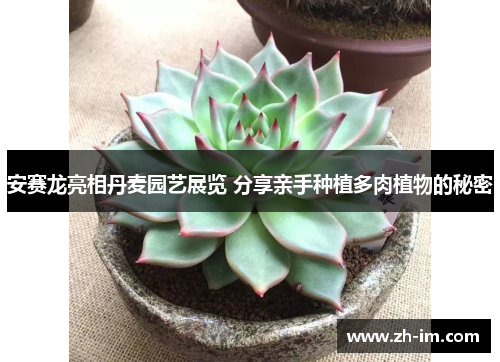 安赛龙亮相丹麦园艺展览 分享亲手种植多肉植物的秘密