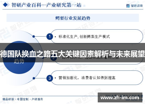 德国队换血之路五大关键因素解析与未来展望